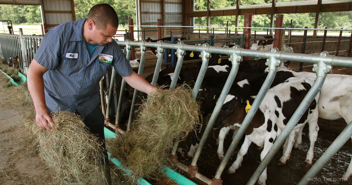 keeping safe on the horse farm