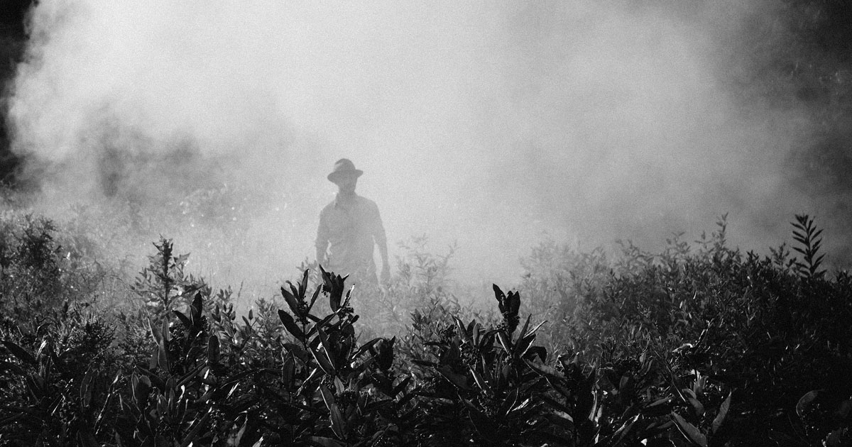 man standing in field of smoke