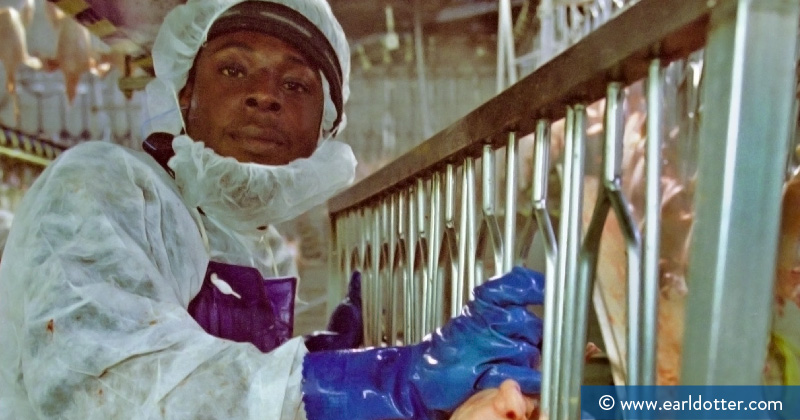 A meat processing plant worker