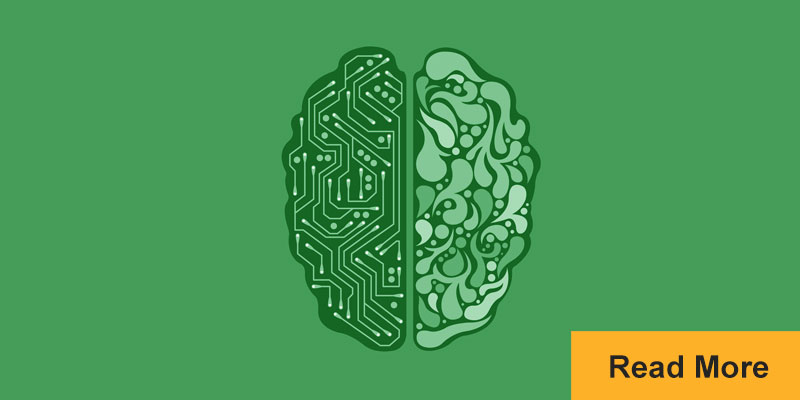 Brain with half circuit board