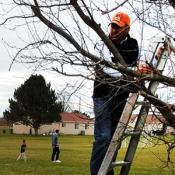 man high on a ladder