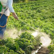 Farmworker sprays pesticide on field