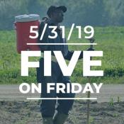 Five on Friday: National Heat Awareness Day