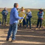 Building Capacity in Occupational Health: Campesinos Sin Fronteras and La Ventan