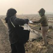 Essential: Protecting Farmworkers from Wildfire Smoke in California