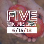 Five on Friday hands holding tomatoes