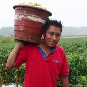 Worker in Tennessee