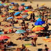 crowd on the beach