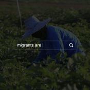 Farm worker in field with search box and text: migrants are