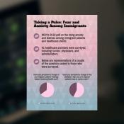 infographic with pie charts