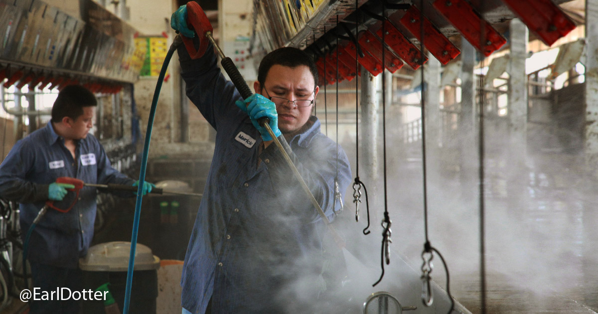 Man cleans dairy production line