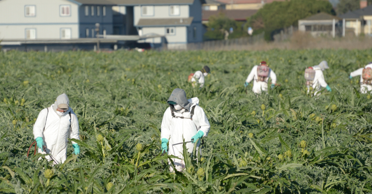 Pesticide Spraying