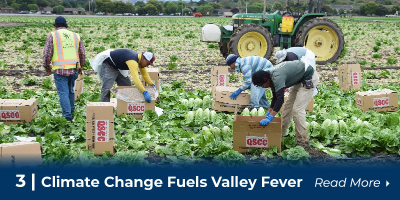 Farmworkers working in field