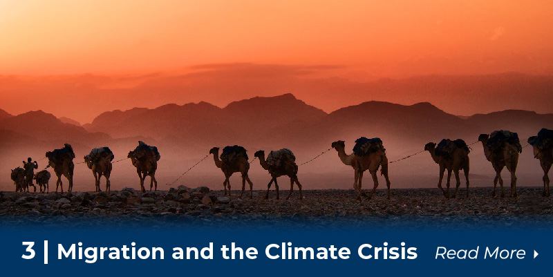 A caravan of camels move across a desert