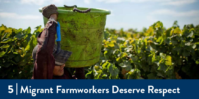 A farmworker in the field