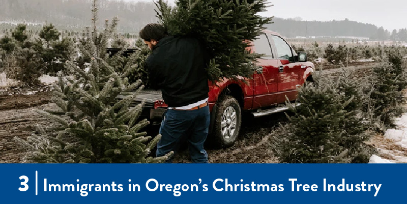 A man loading a christmas tree in to a truck