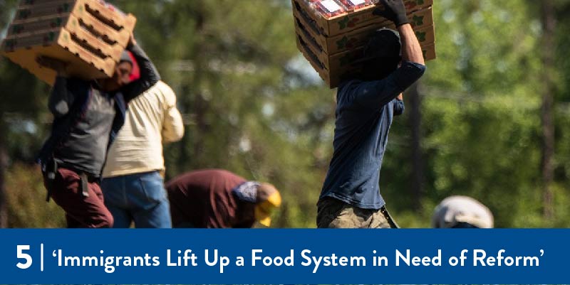 Farmworkers moving packaged produce through a field