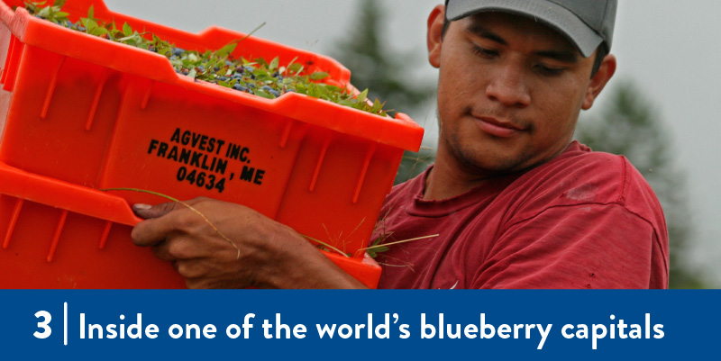 Farmworkers working in a field