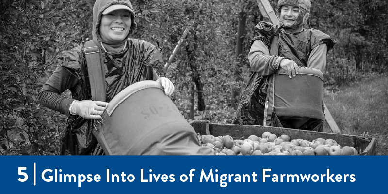 A photo of farmworkers at work