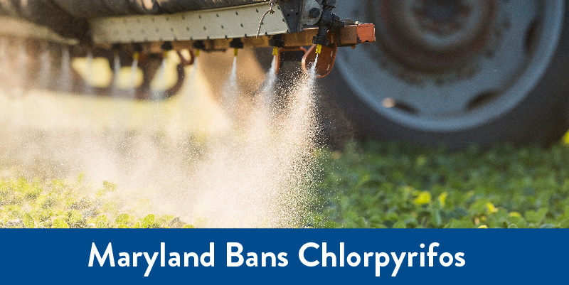 Pesticides being sprayed in field