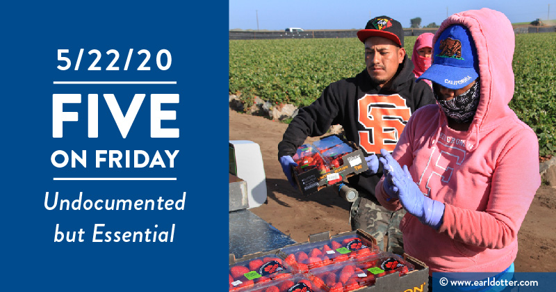 Farmworkers wear bandanas while working