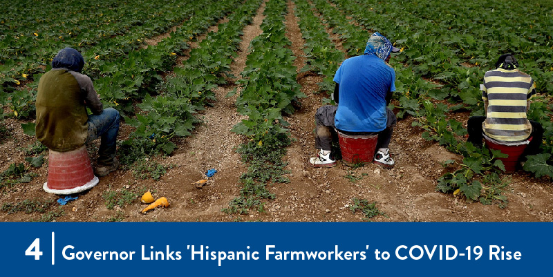 Farmworkers harvesting in the field