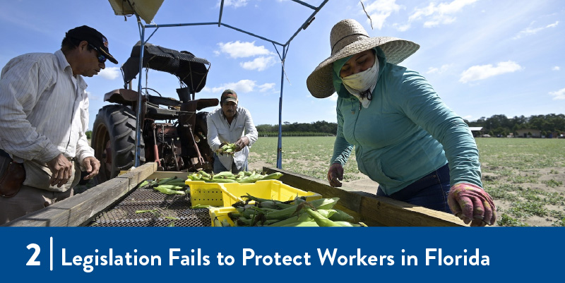 Farmworkers in Florida