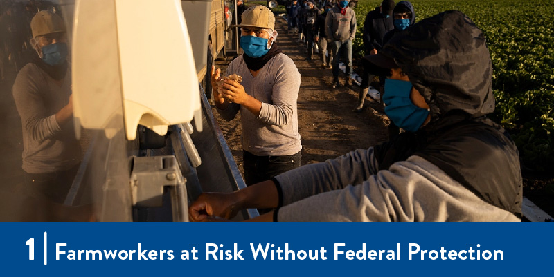 farmworkers watching hands