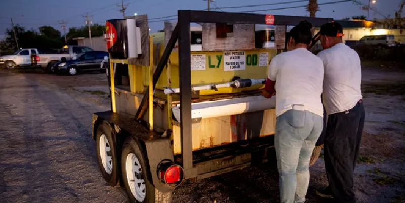 immokalee workers