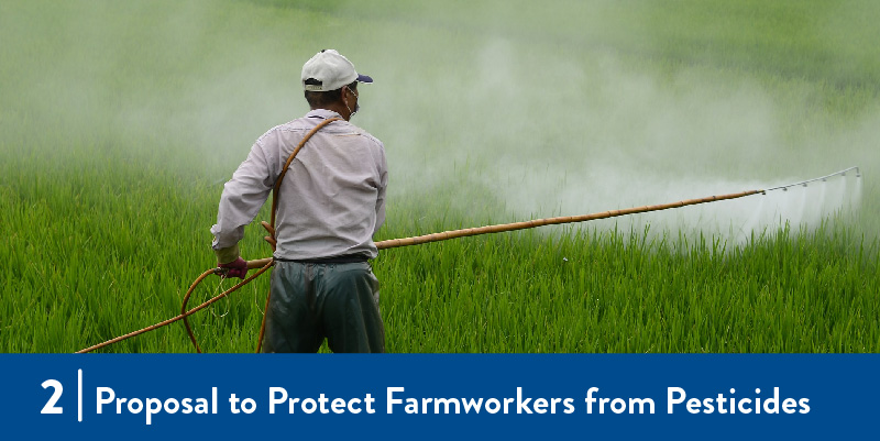 A worker spraying pesticides