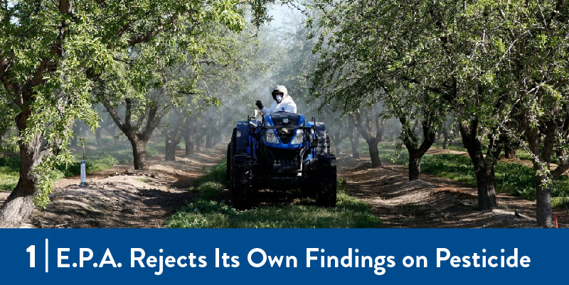 A farmworker sprays pesticides