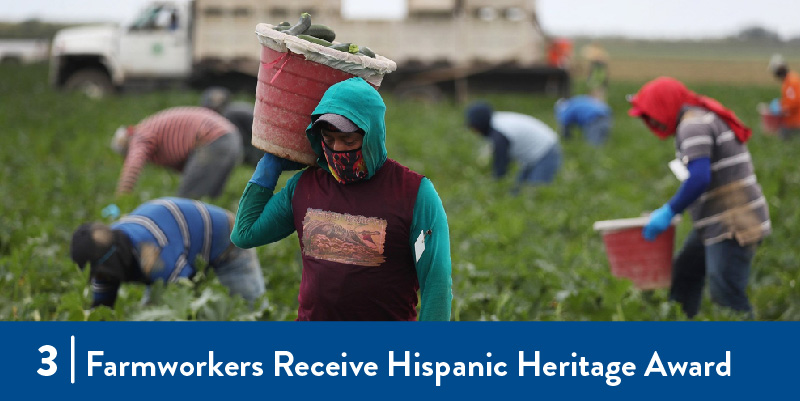 Farmworkers working in a field