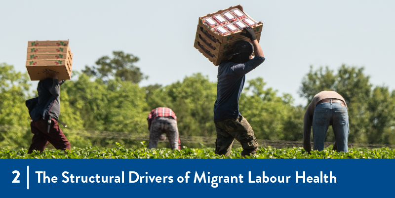 farmworkers in the field