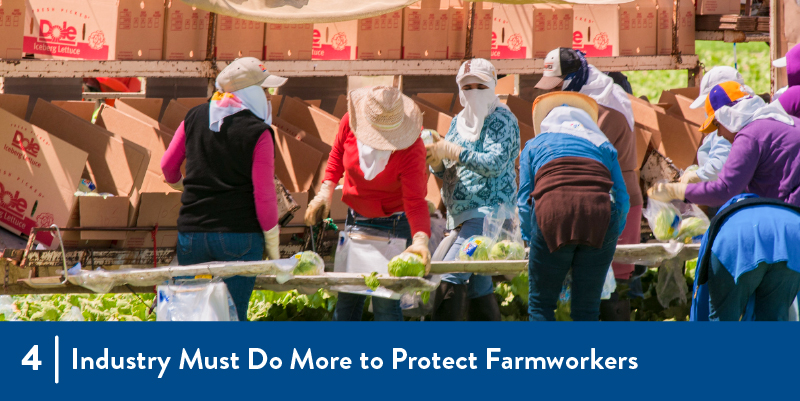 Farmworkers in the field