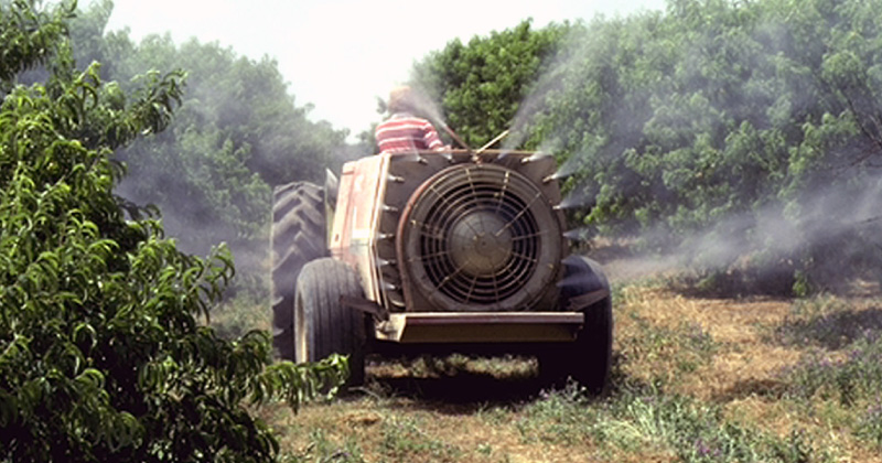 A machine spraying pesticide in orchard