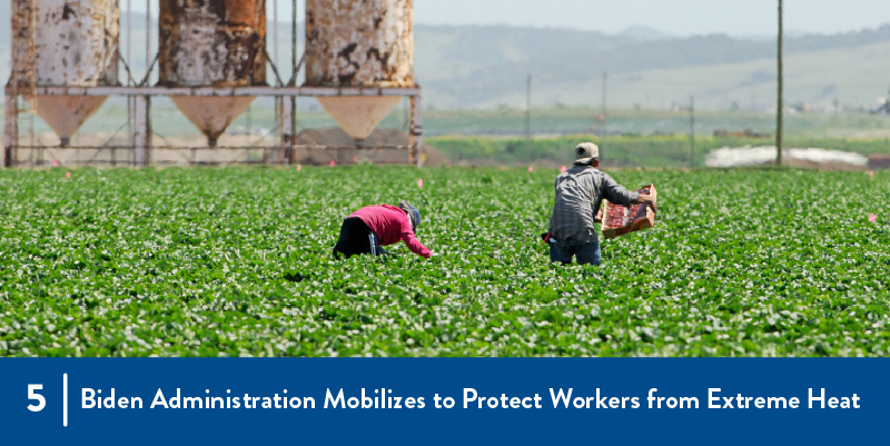 Farmworkers in the field