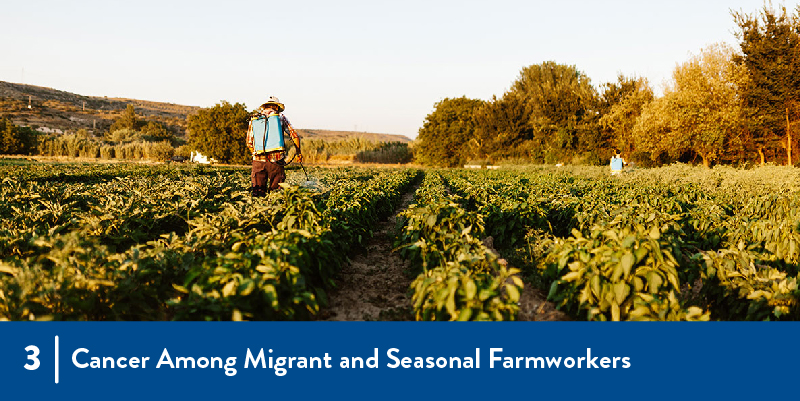 Farmworkers apply pesticide to a field