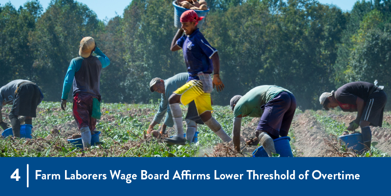 Farmworkers at work