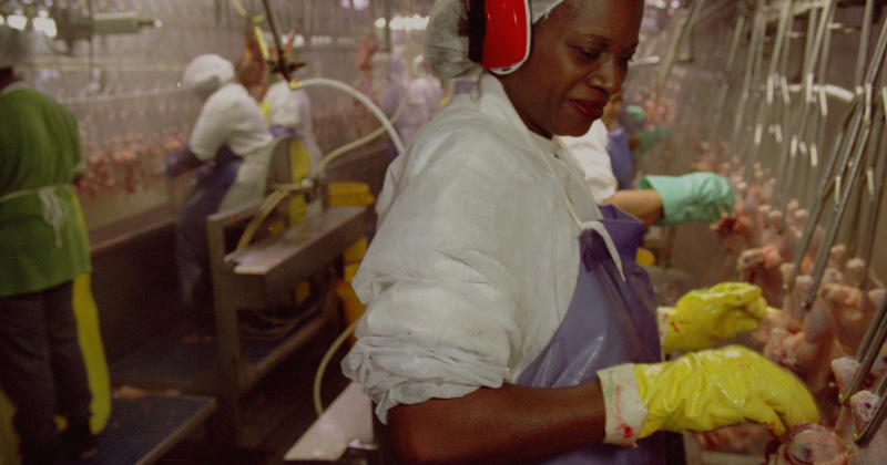 A worker on a processing line at a poultry plant