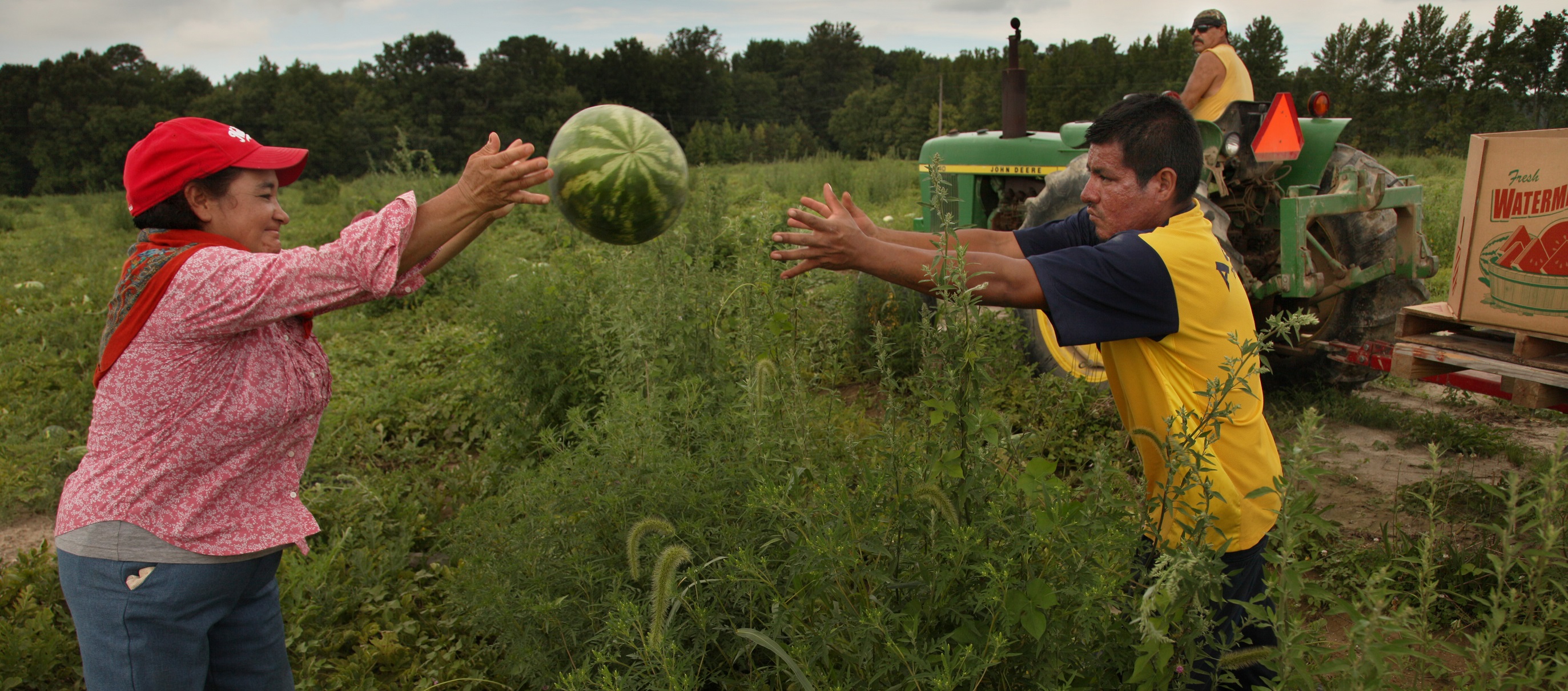 Watermelon Toss