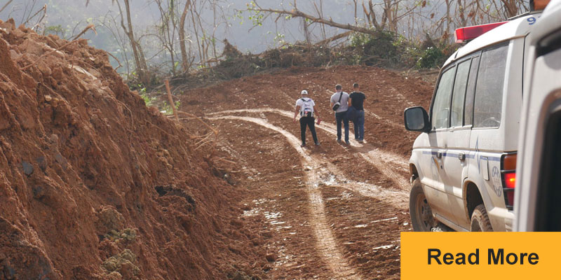 people walking on dirt road with fallen trees