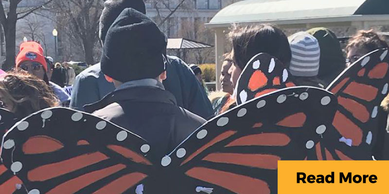 Butterflies march in Capital